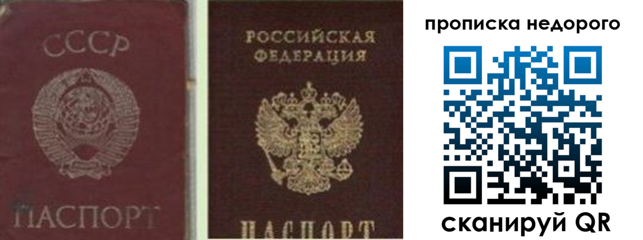 временная регистрация поиск в Купино